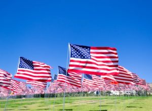 field of American Flags