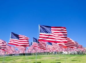 Vets Speaking Out Against Trump for VA Secretary Appointment field of American Flags